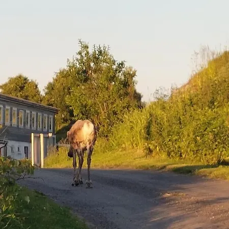 Segla View House Mefjordvær