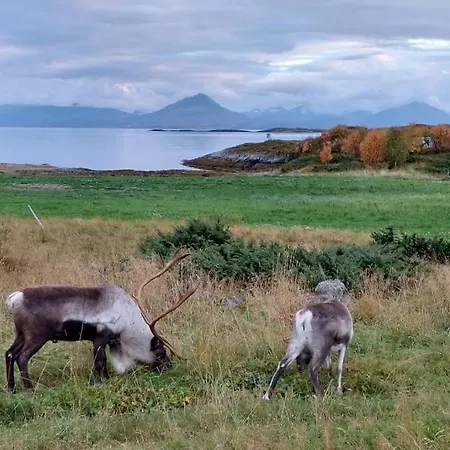 בית נופש Segla View House *