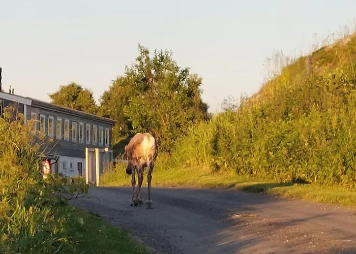 Segla View House Mefjordvær