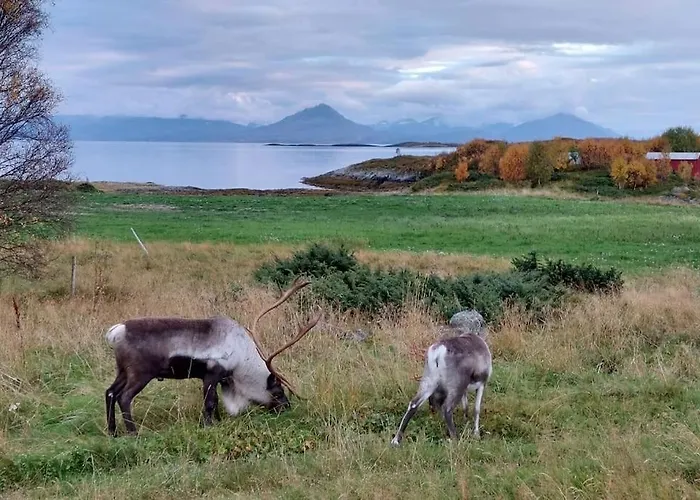 Casa de Férias Segla View House *